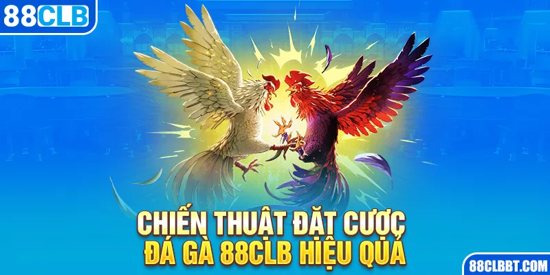 Chiến thuật đặt cược Đá gà 88CLB hiệu quả