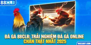 Đá Gà 88CLB: Trải Nghiệm Đá Gà Online Chân Thật Nhất 2025