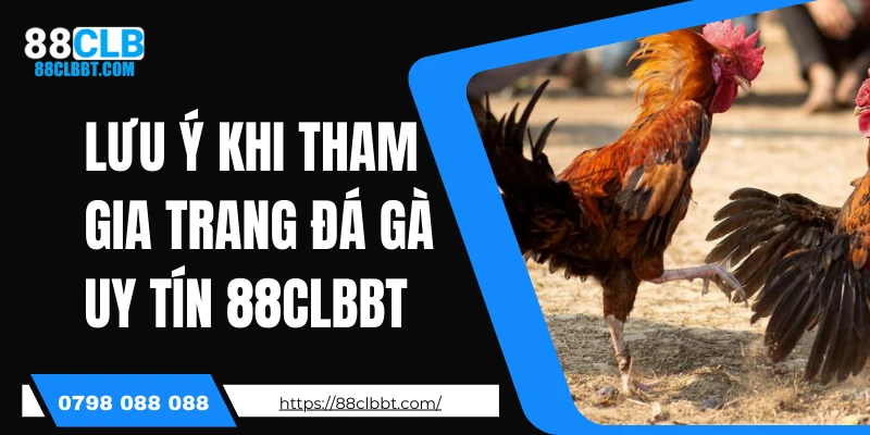 Lưu ý khi tham gia trang đá gà uy tín 88CLBBT