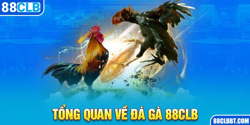 Tổng quan về đá gà 88CLB