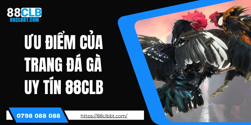 Ưu điểm của trang đá gà uy tín 88CLB